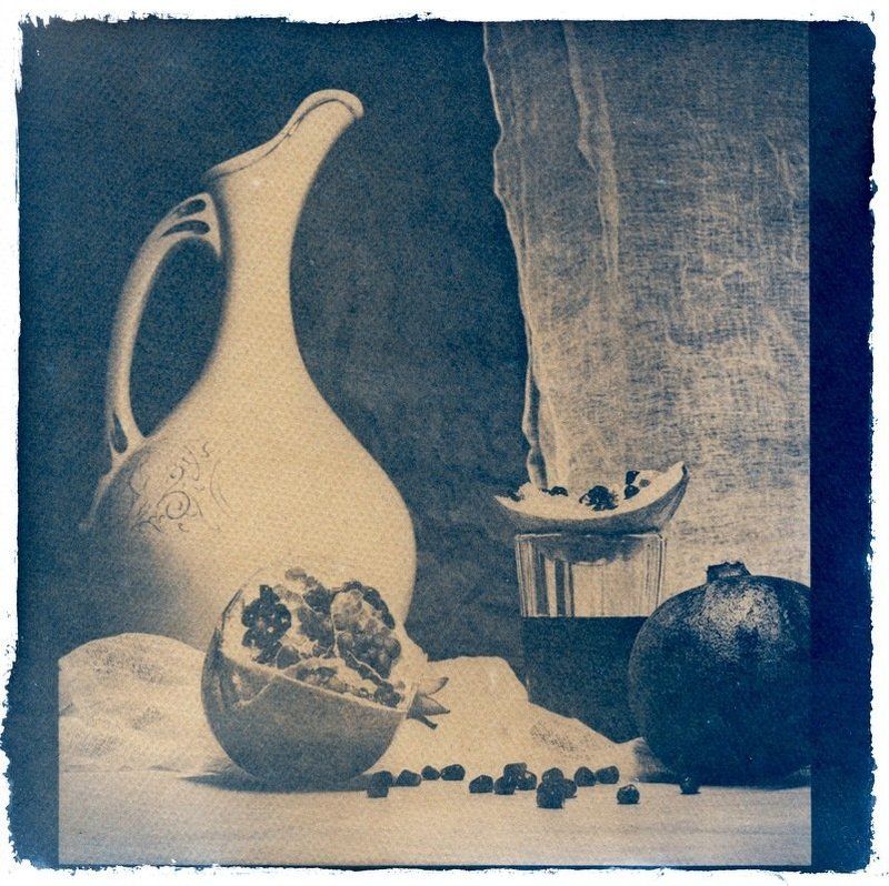 цианотип *** фото превью