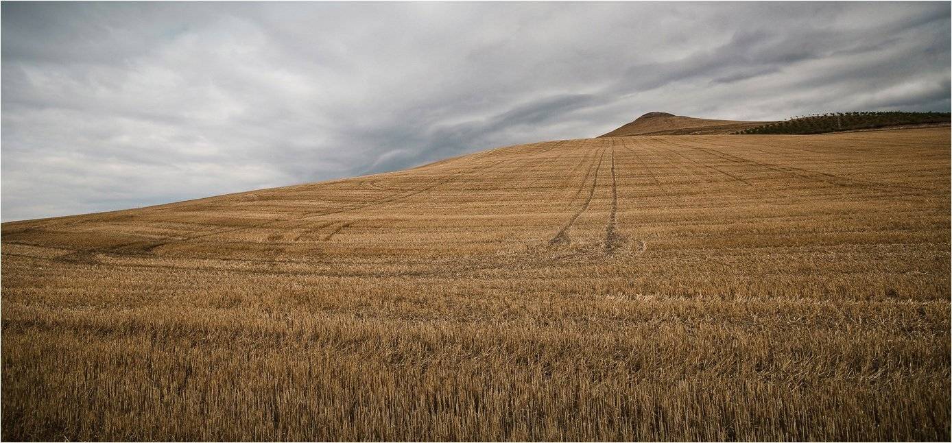 испания, осень, рьеха, поле, Сергей Гаспарян