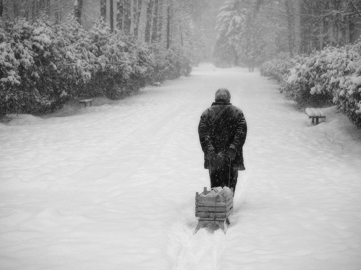 , Владимир Перепечаев