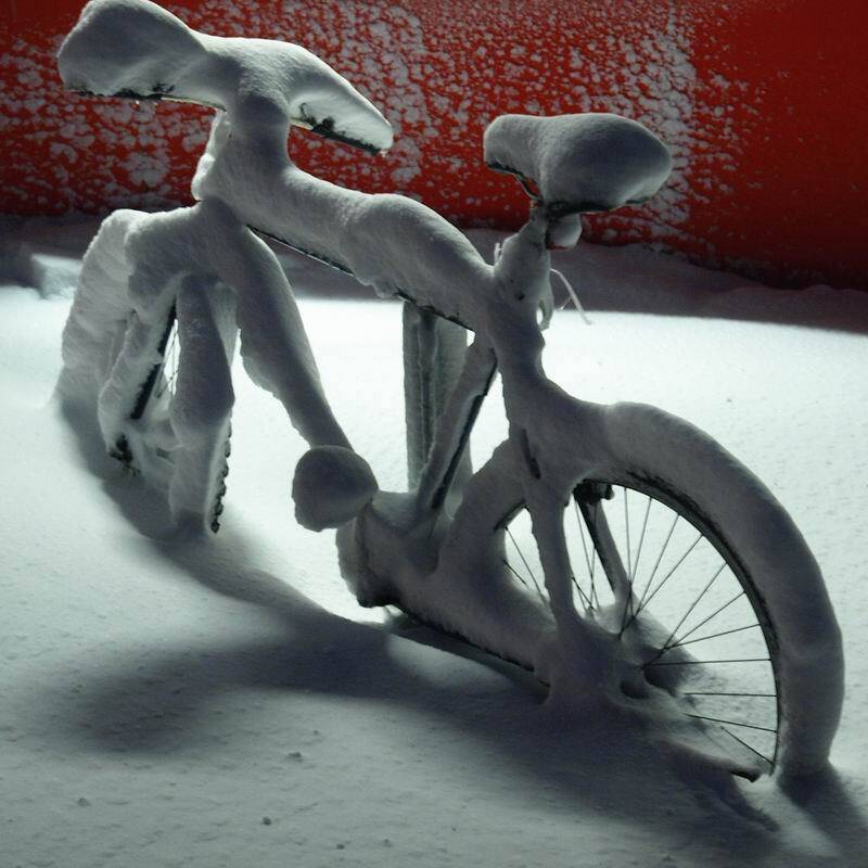 натюрморт, музыка, николай дмитрук