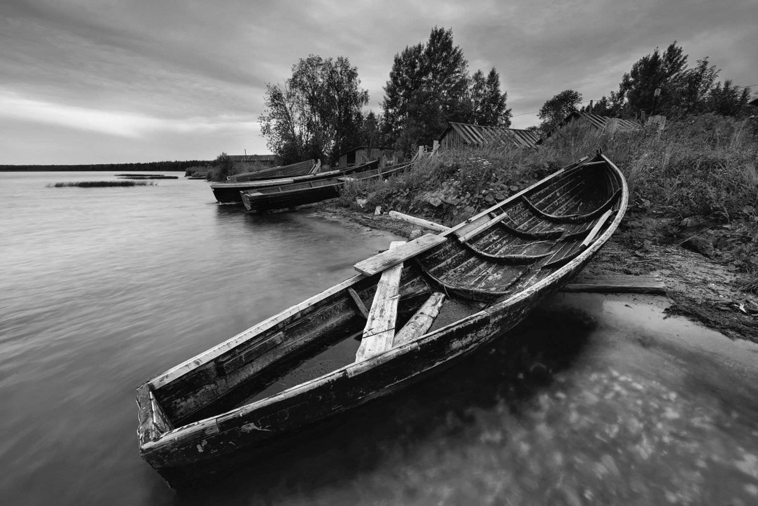 , Максим Евдокимов