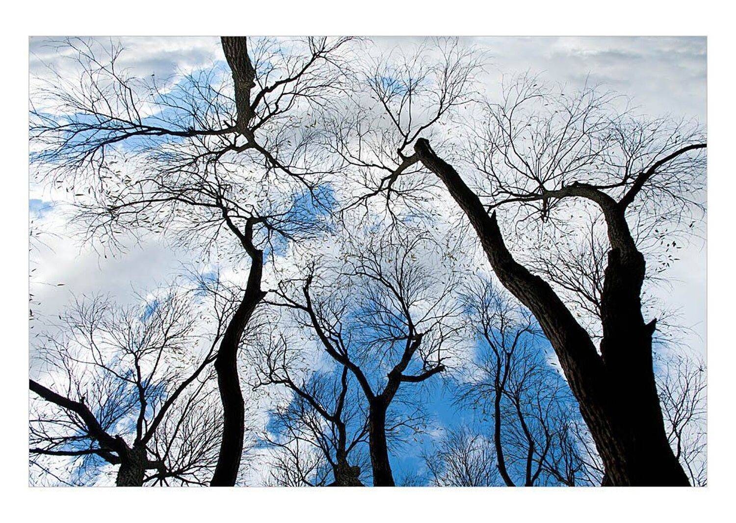 , Попов Николай