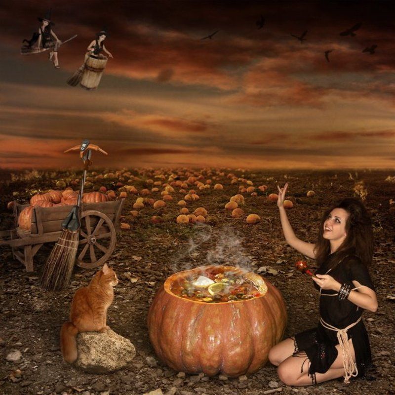 хэллоуин Вот и гости на подлёте... фото превью