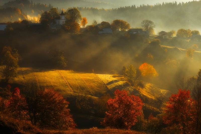 Foggy autumn фото превью