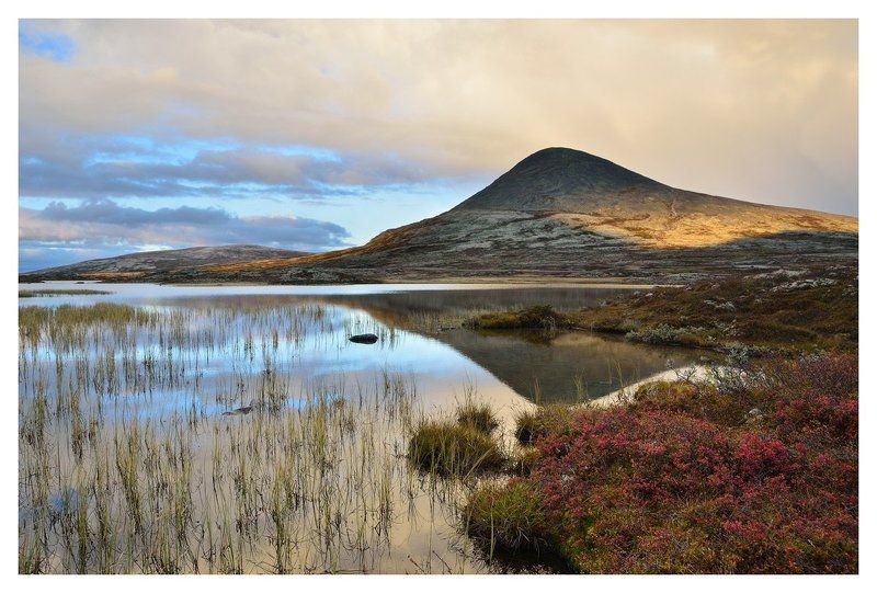 Муен фото превью