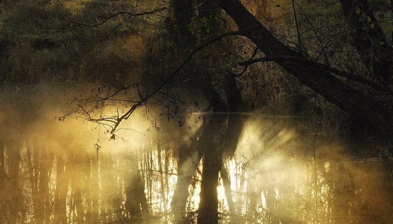 Водяное светило фото превью