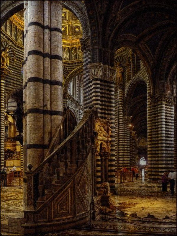 Полосатое чудо фото превью