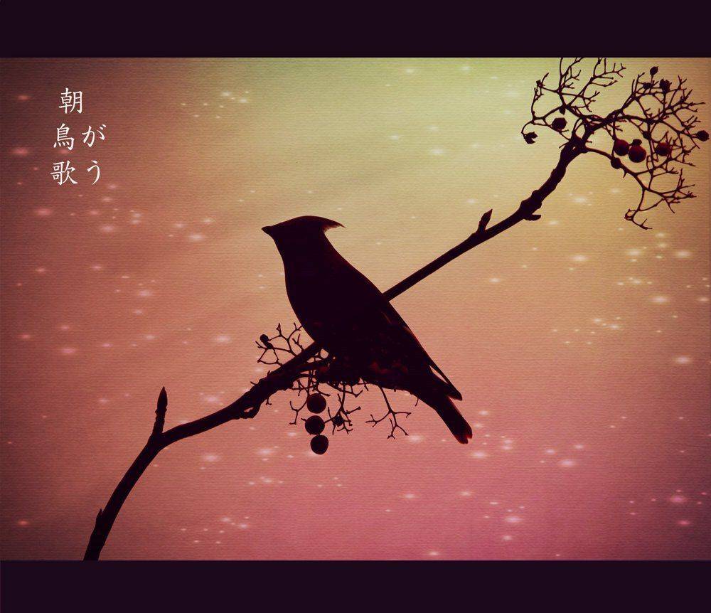 , Юлия Володина