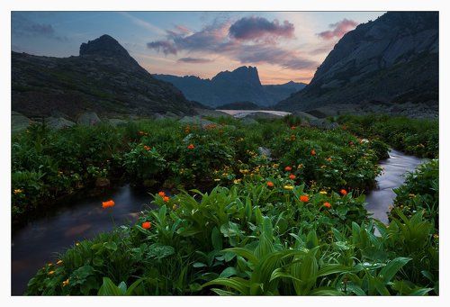 УТРО  ГОРНОГО  РУЧЬЯ