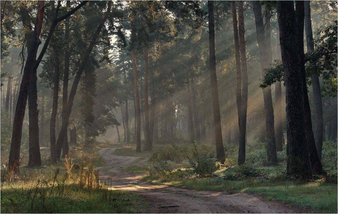 , Володимир Карчевський