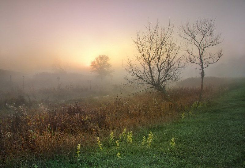 Туманное утро фото превью
