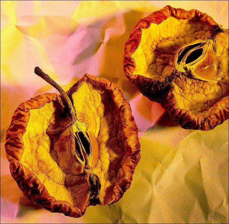 яблоко, сухое яблоко, половинка, натюрморт, слайд, 6х7,, Victor Pechenev