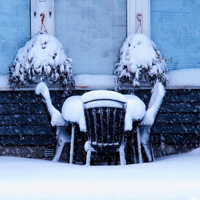 , николай дмитрук