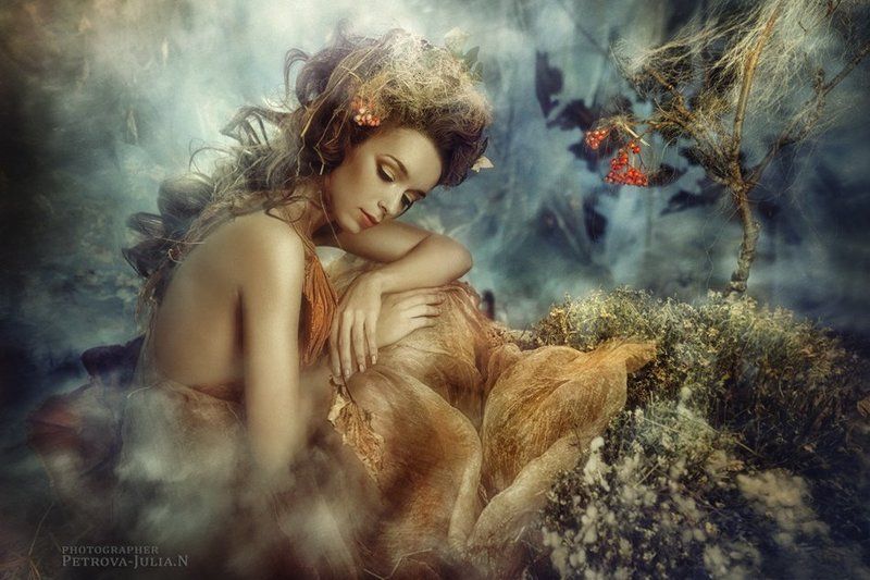 Autumn Dream.photo preview