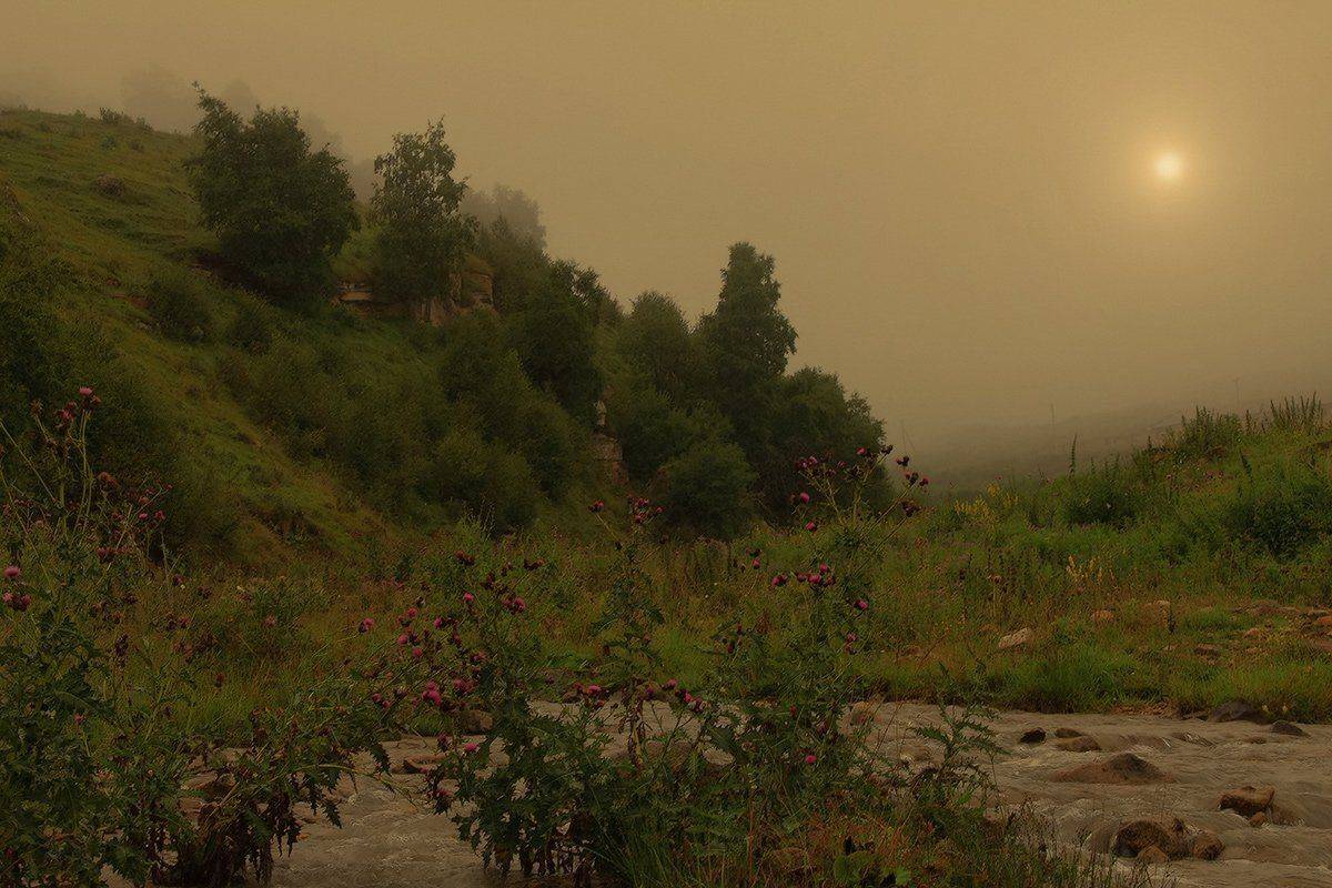 , Михаил  Пилипенко