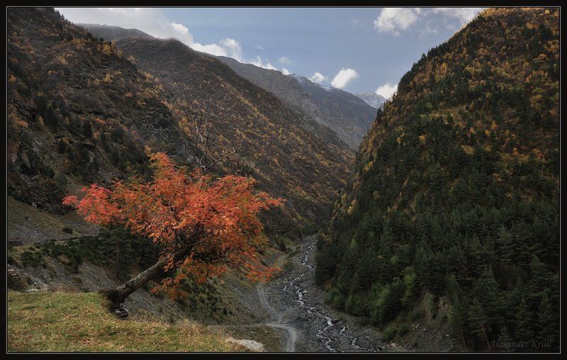 горы, осень, дагестан Жизнь на грани... фото превью