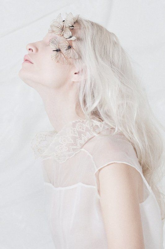 Butterflies фото превью