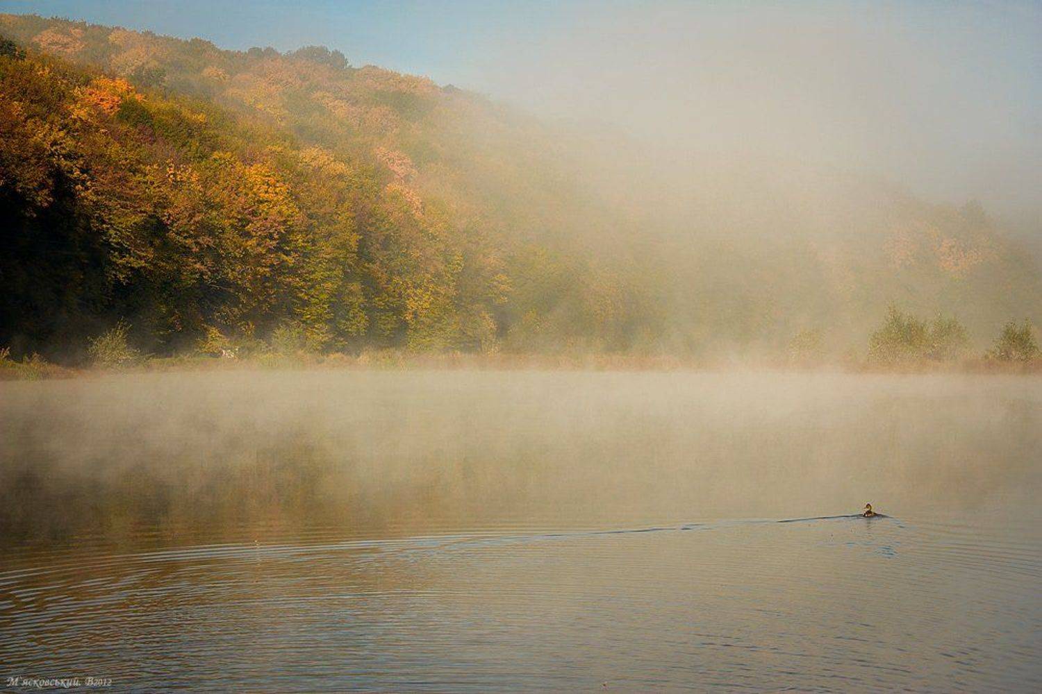 , Wolodymer Mjaskowskuj