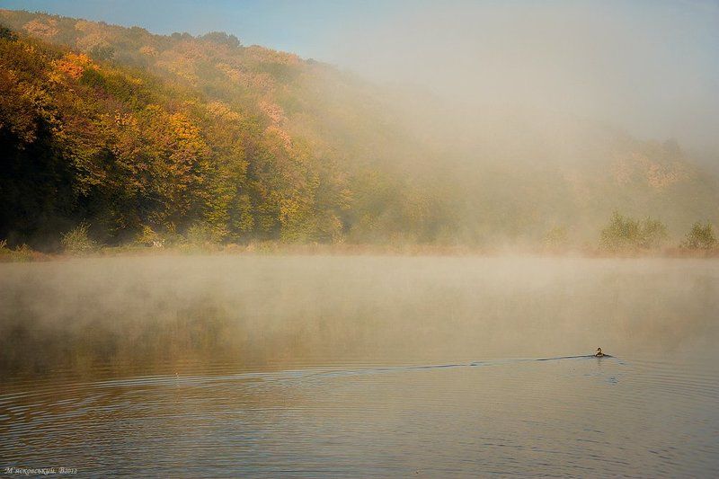 **** фото превью