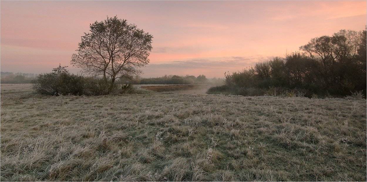 , Николай Шахманцир