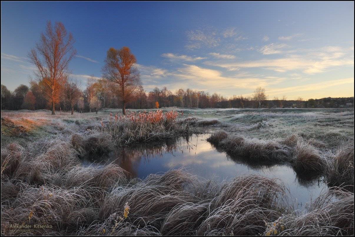 , Александр Киценко