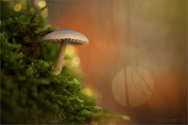 На краю 2 фото превью