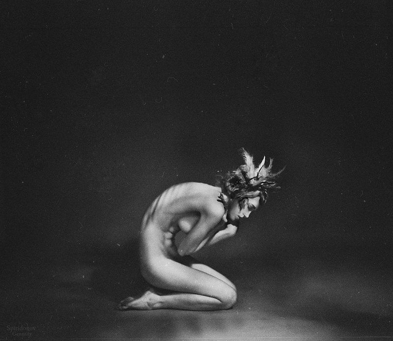 Bird фото превью