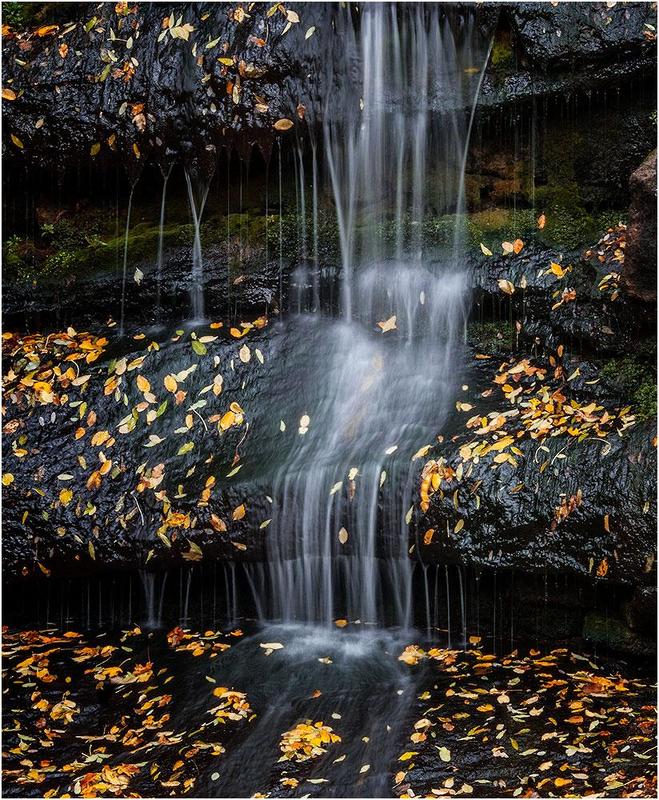 Фото фото превью