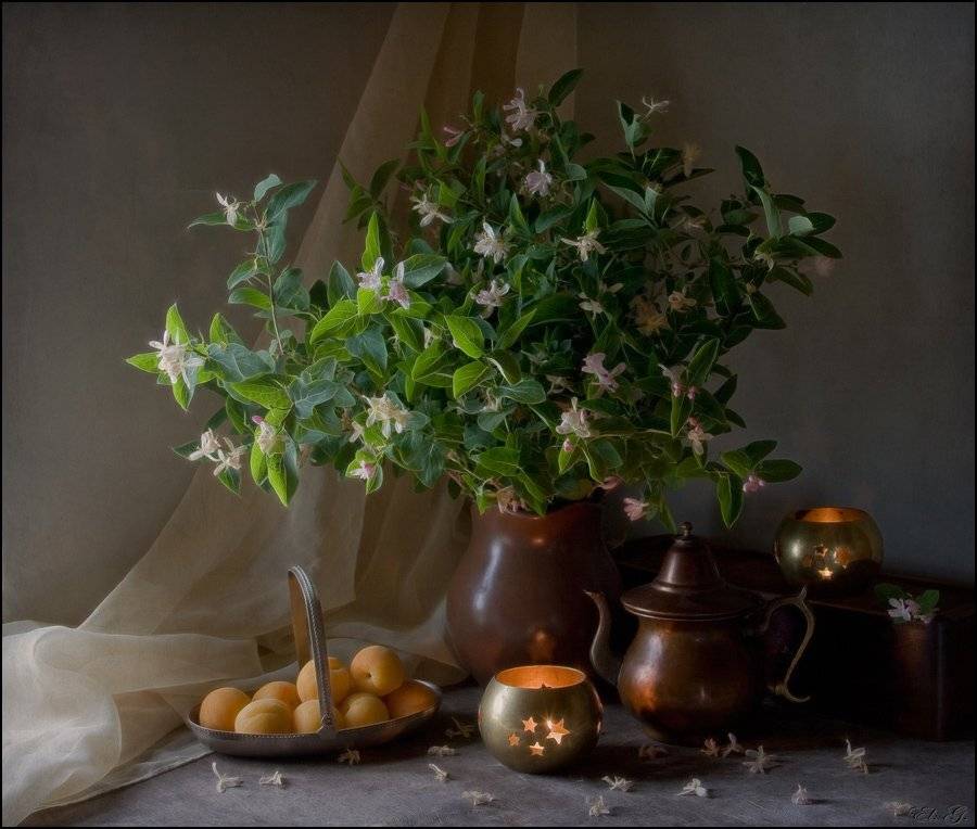 натюрморт, лето, свечи, цветы, жимолость, абрикосы, El. G.