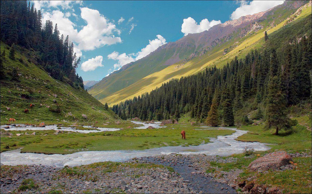 тянь-шань, горы, киргизия, Вадим Никифоров