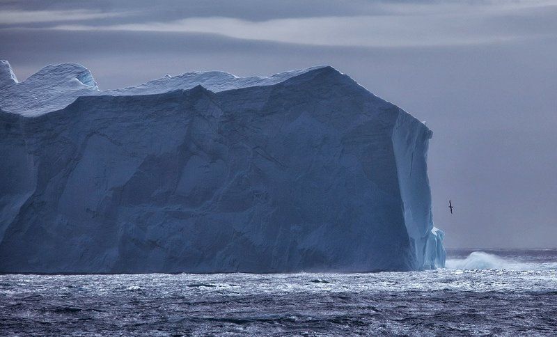 антарктика, георгия Южная Георгия 1 фото превью