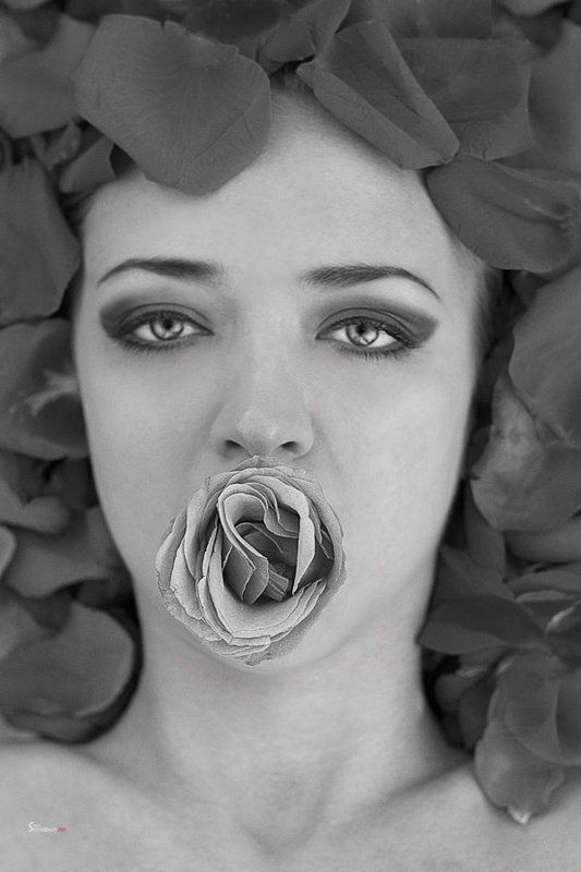 Dasha фото превью