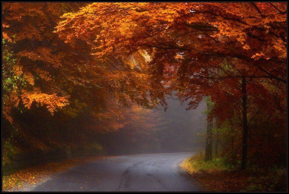 bulgaria, , vitosha, Svetoslav