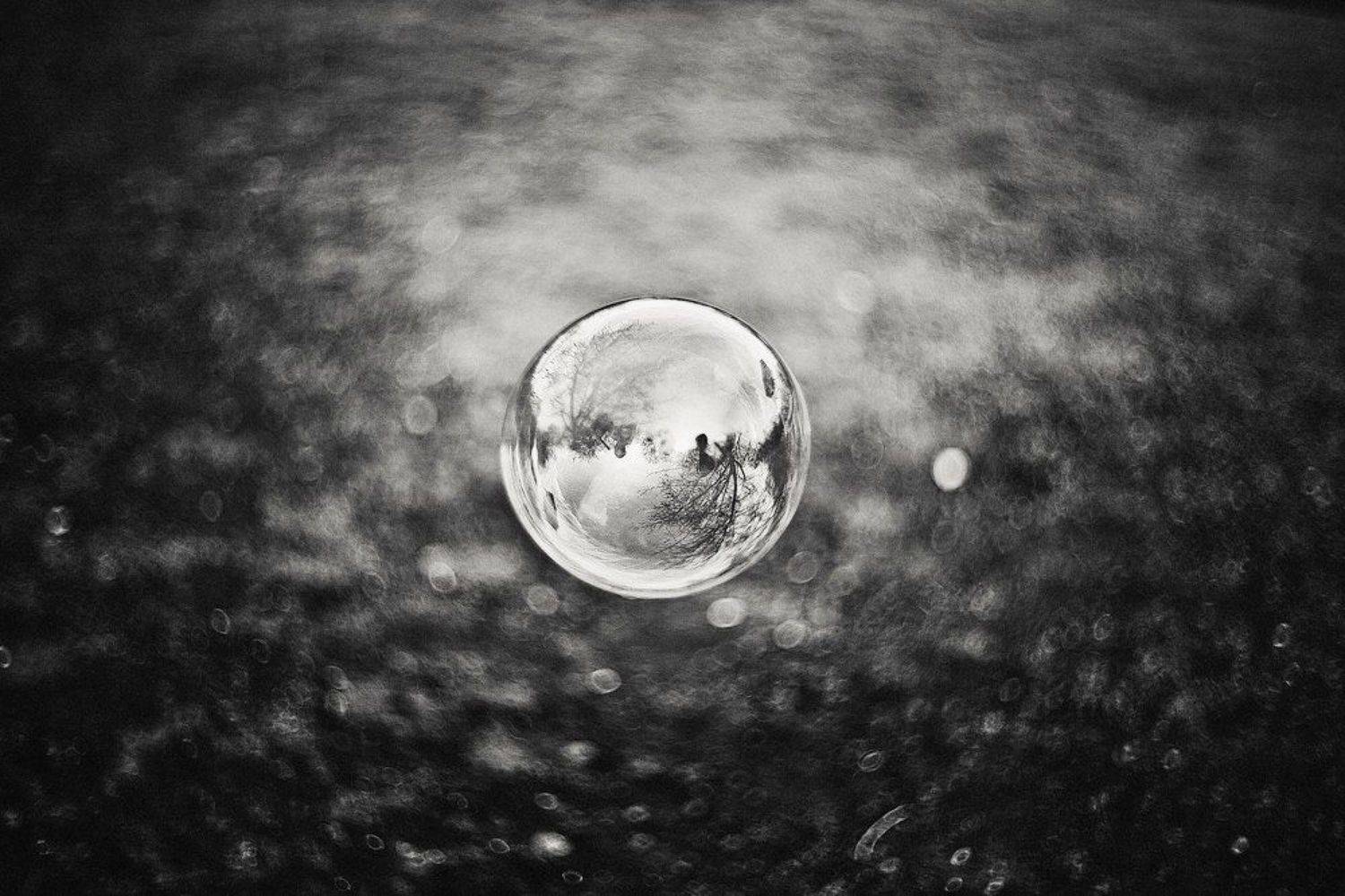 , Светлана Некрасова