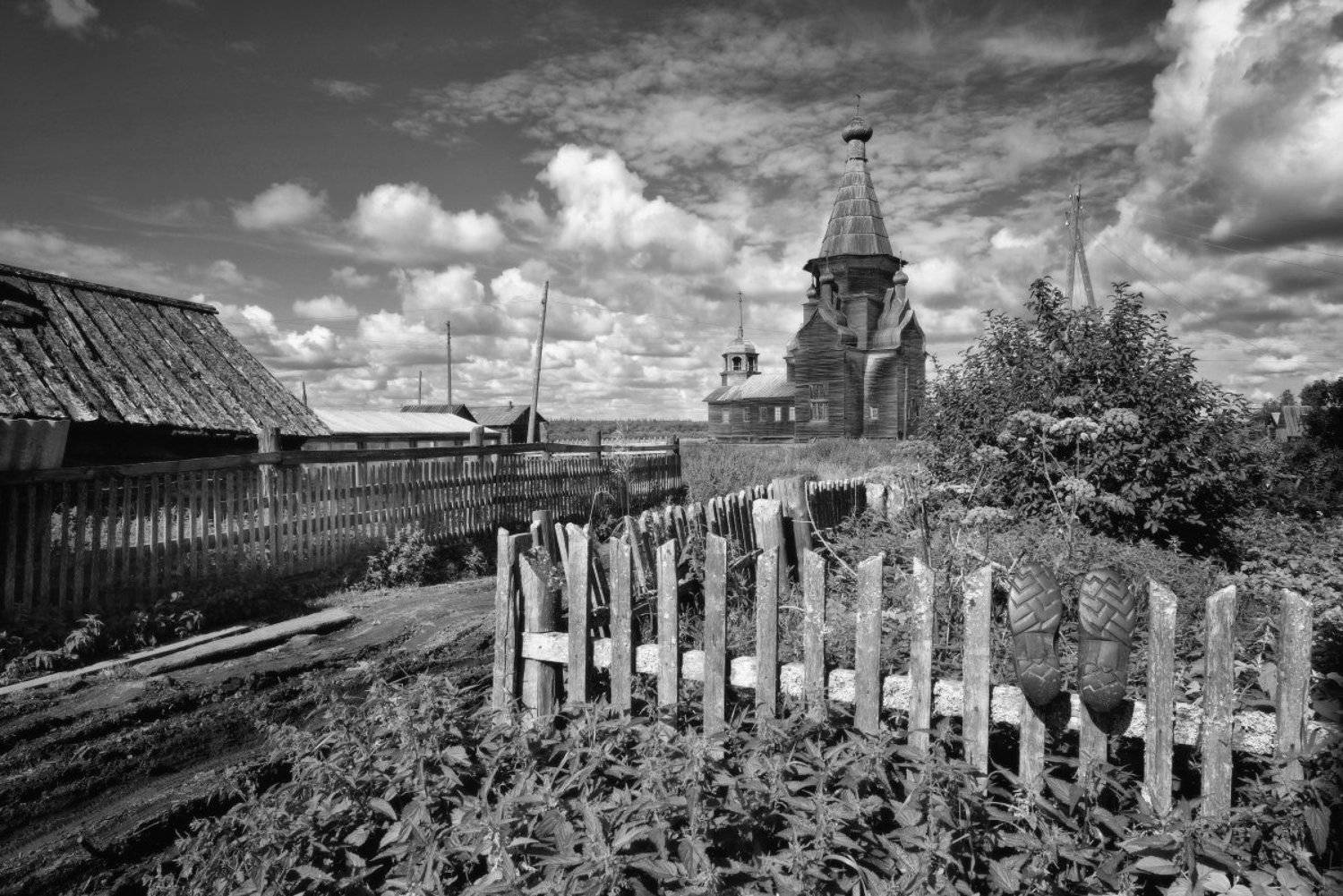 , Максим Евдокимов