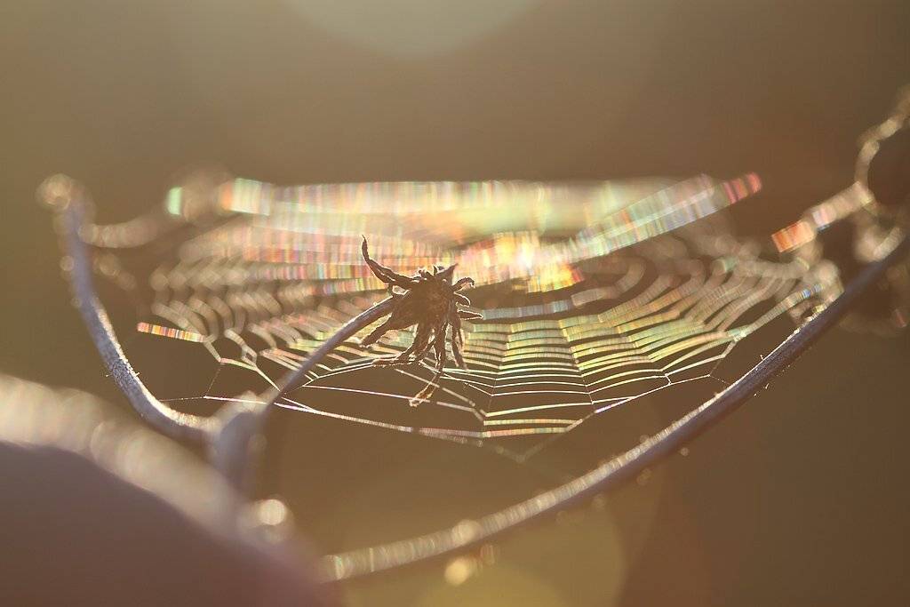 , Сергей Таланов