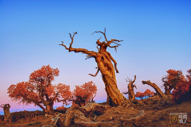 Desert dancer фото превью