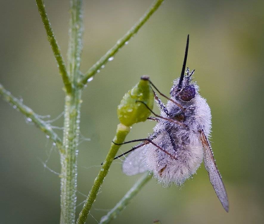 , Андрей Канышев