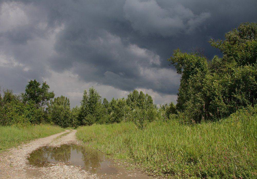 , Николай Морский