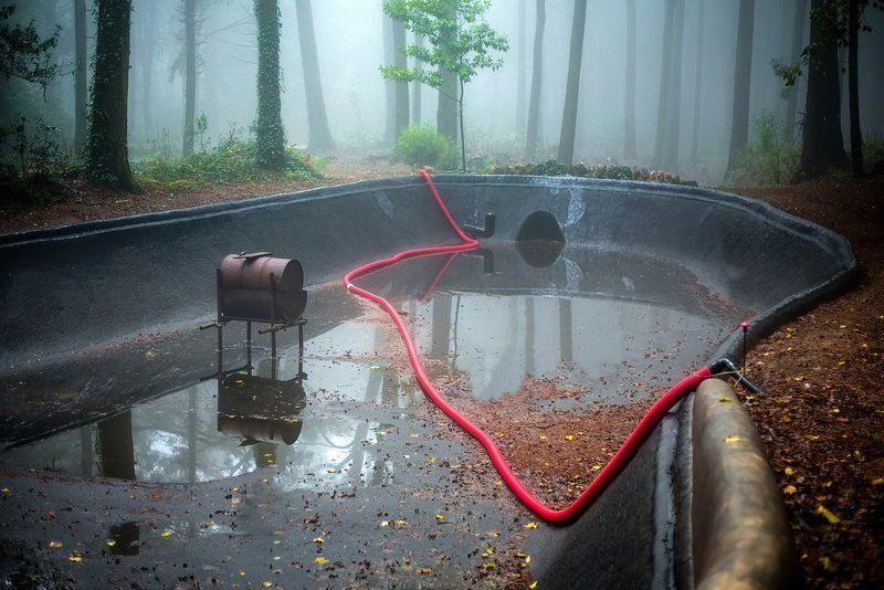 Swan Lake (Game Over) фото превью