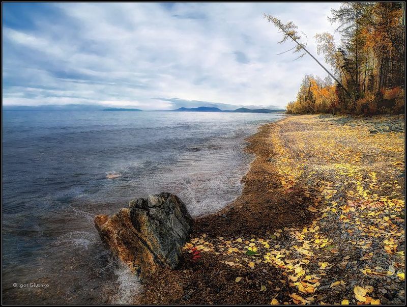 бурятия, байкал, осень, покрывало, берег, вода Осеннее покрывало фото превью