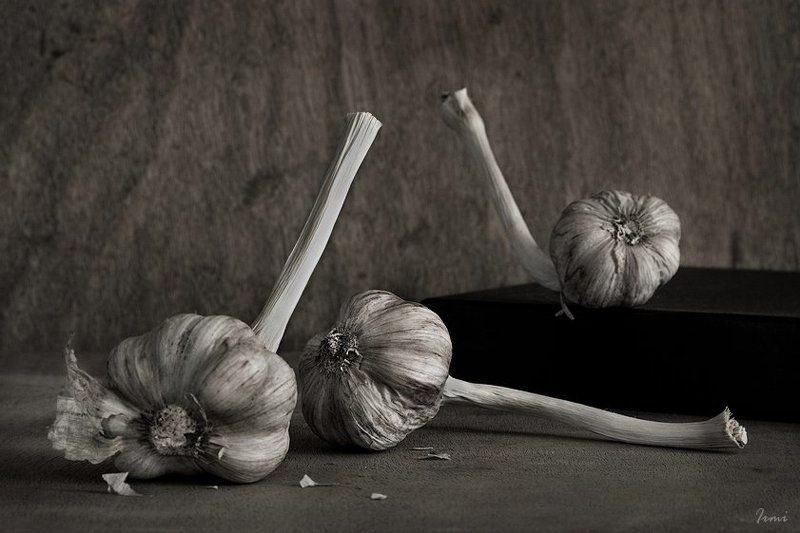 чеснок Танец фото превью