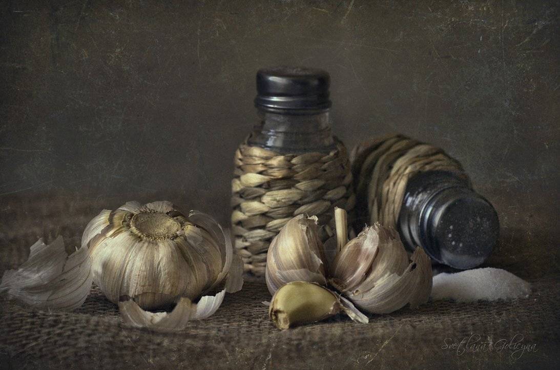 , светлана голицына