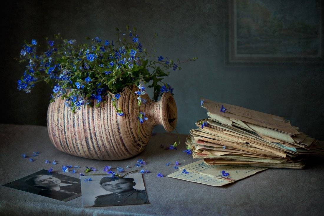 , светлана голицына