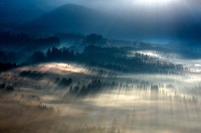 Morning dreams ... фото превью