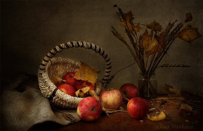осень, яблоки, Elena Pankova