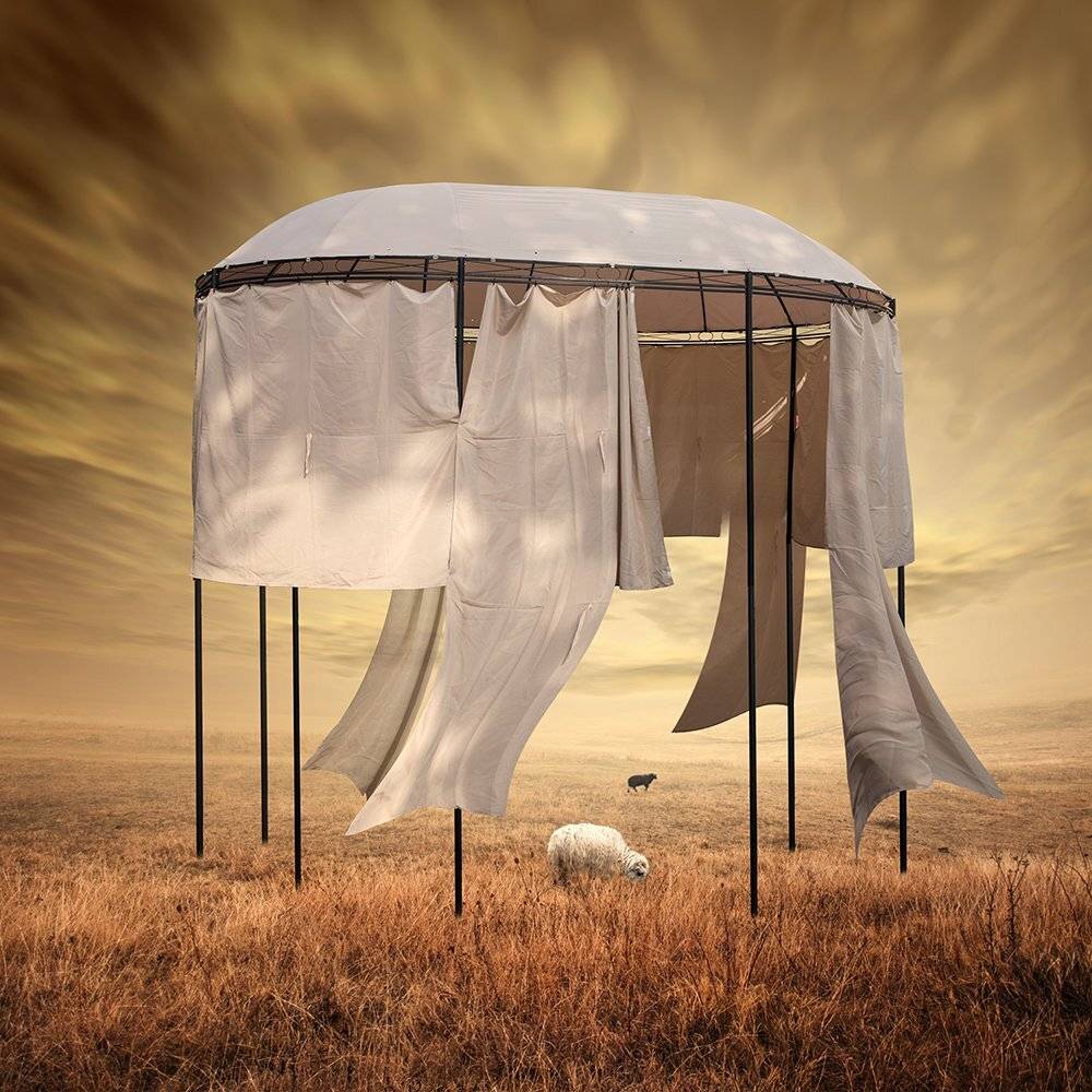 , Caras Ionut