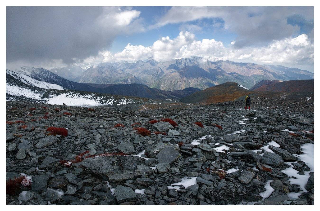 , Владимир Ляпин