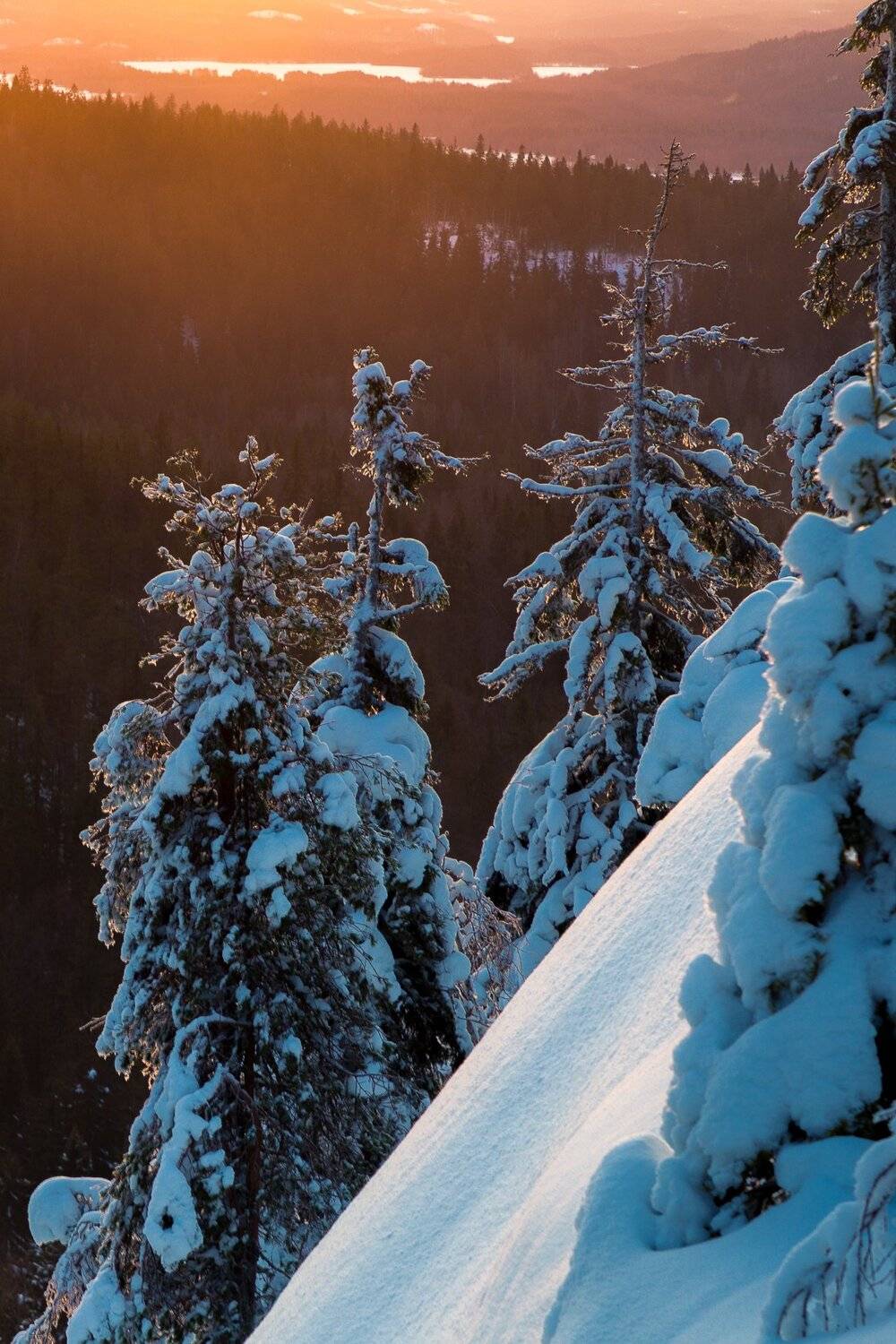 лапландия, финляндия, коли, Александр Писарев