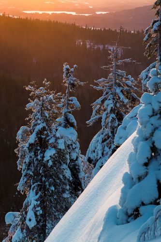 Зимнее утро